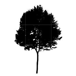 Meet your Posher, Reese